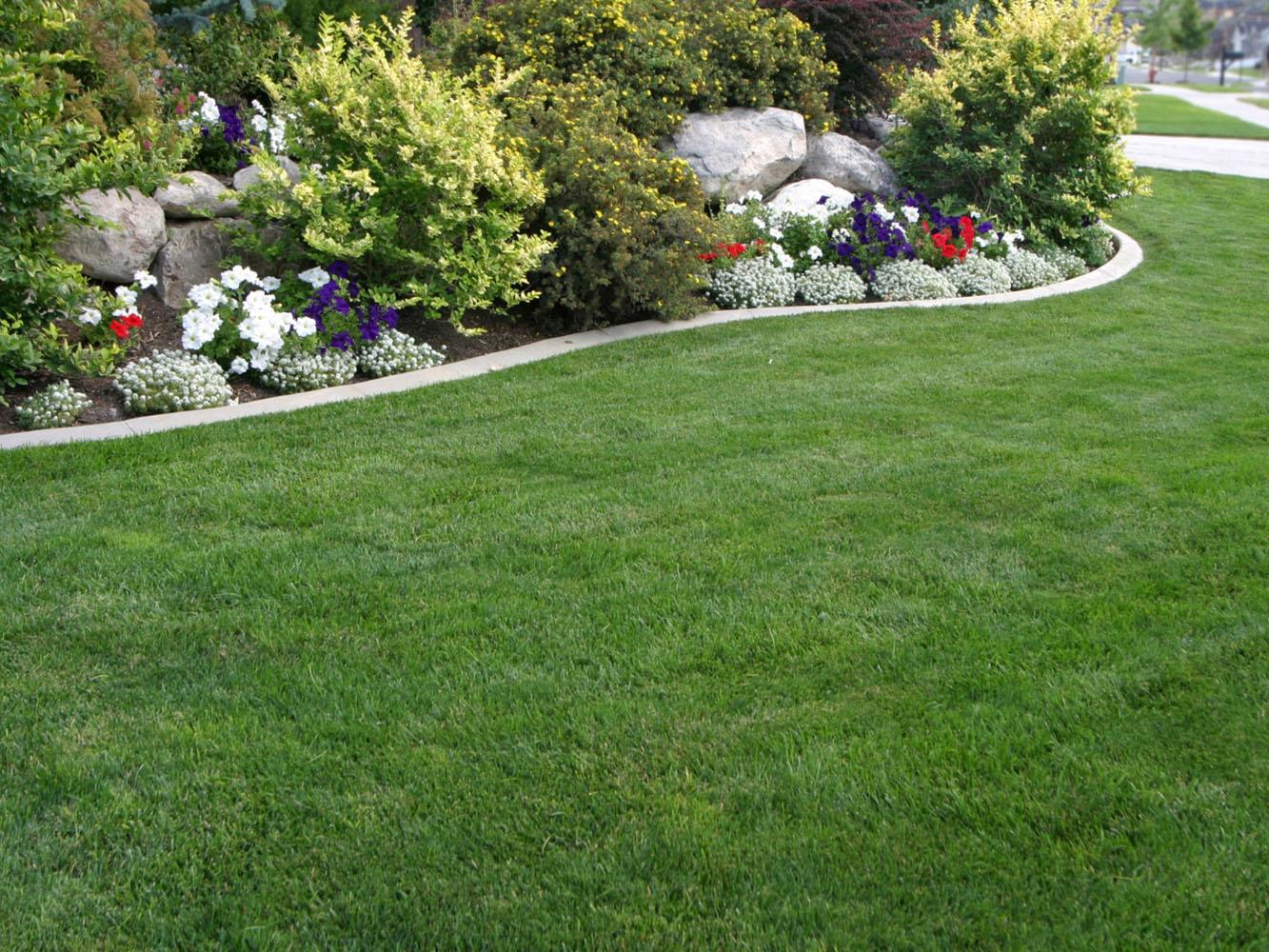 Ultra-Premium Bluegrass Blend